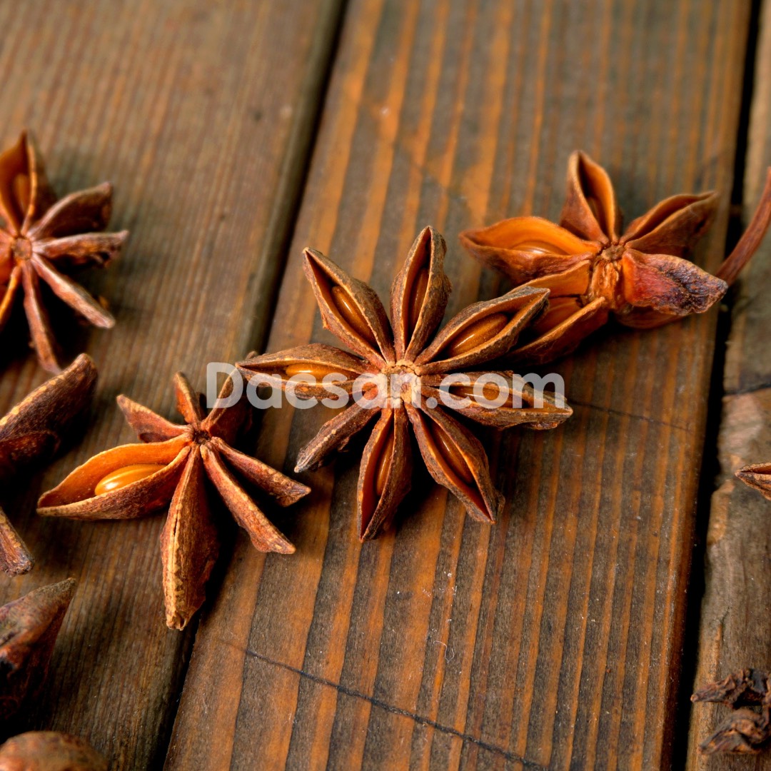 Hoa hồi Lạng Sơn