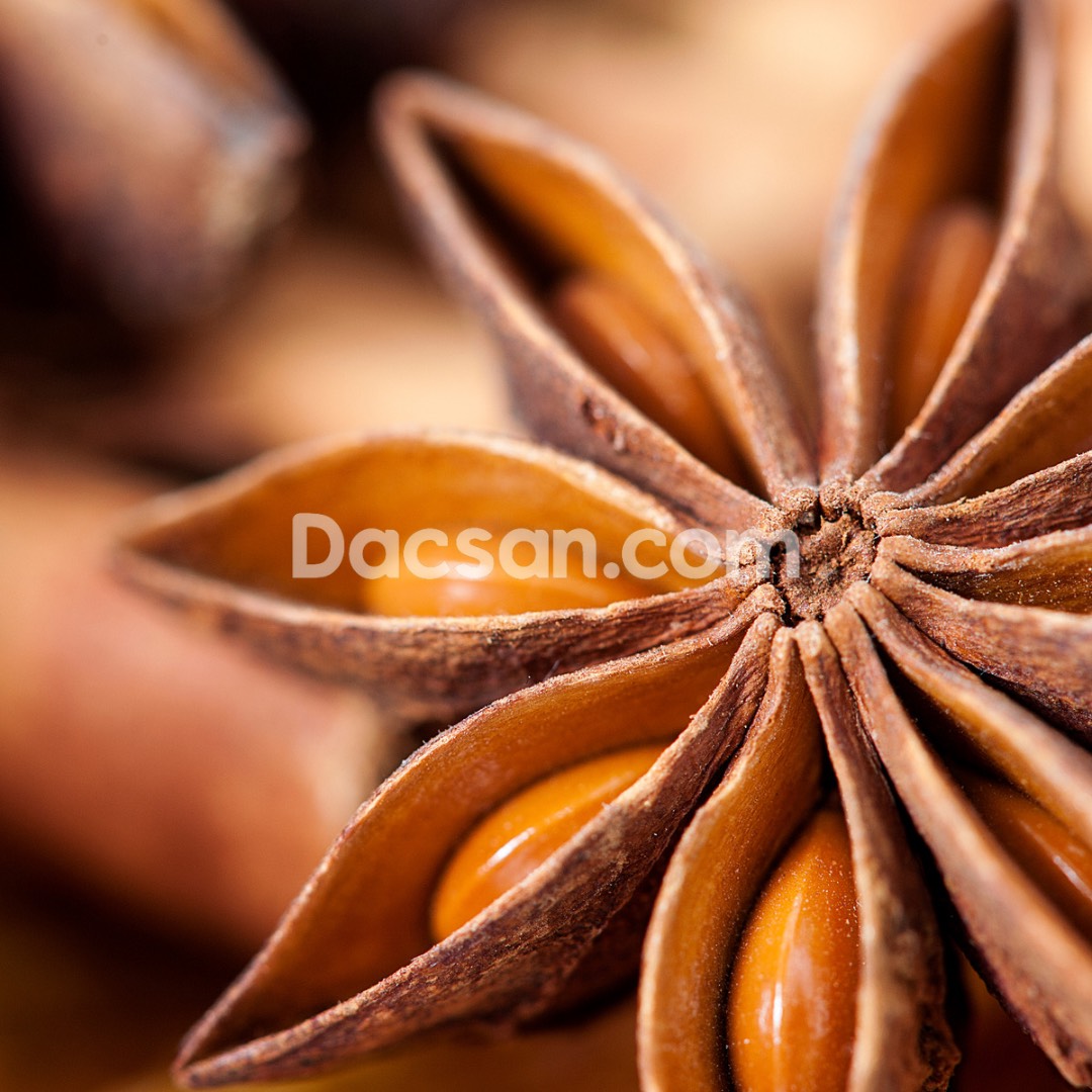 Hoa hồi Lạng Sơn