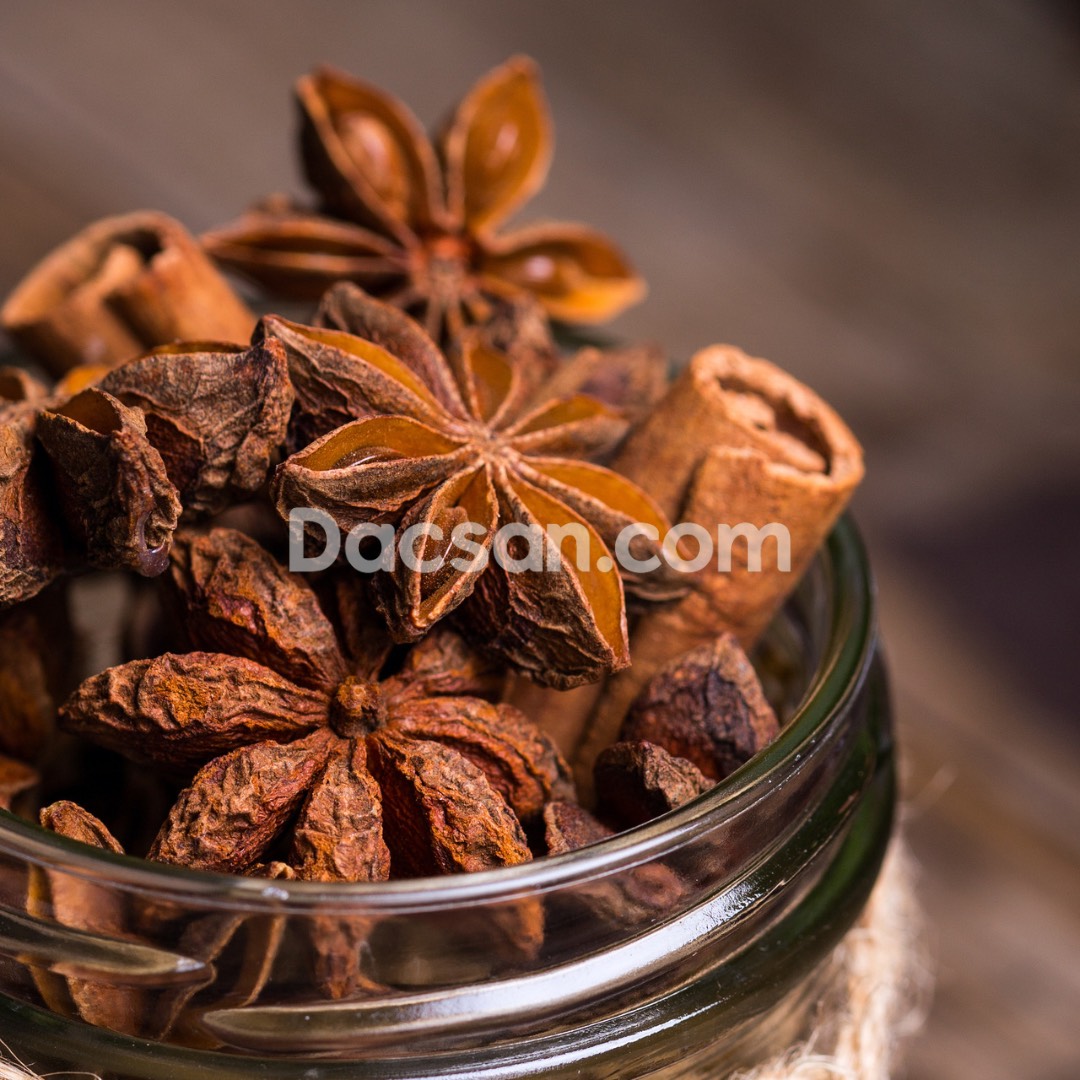 Hoa hồi Lạng Sơn