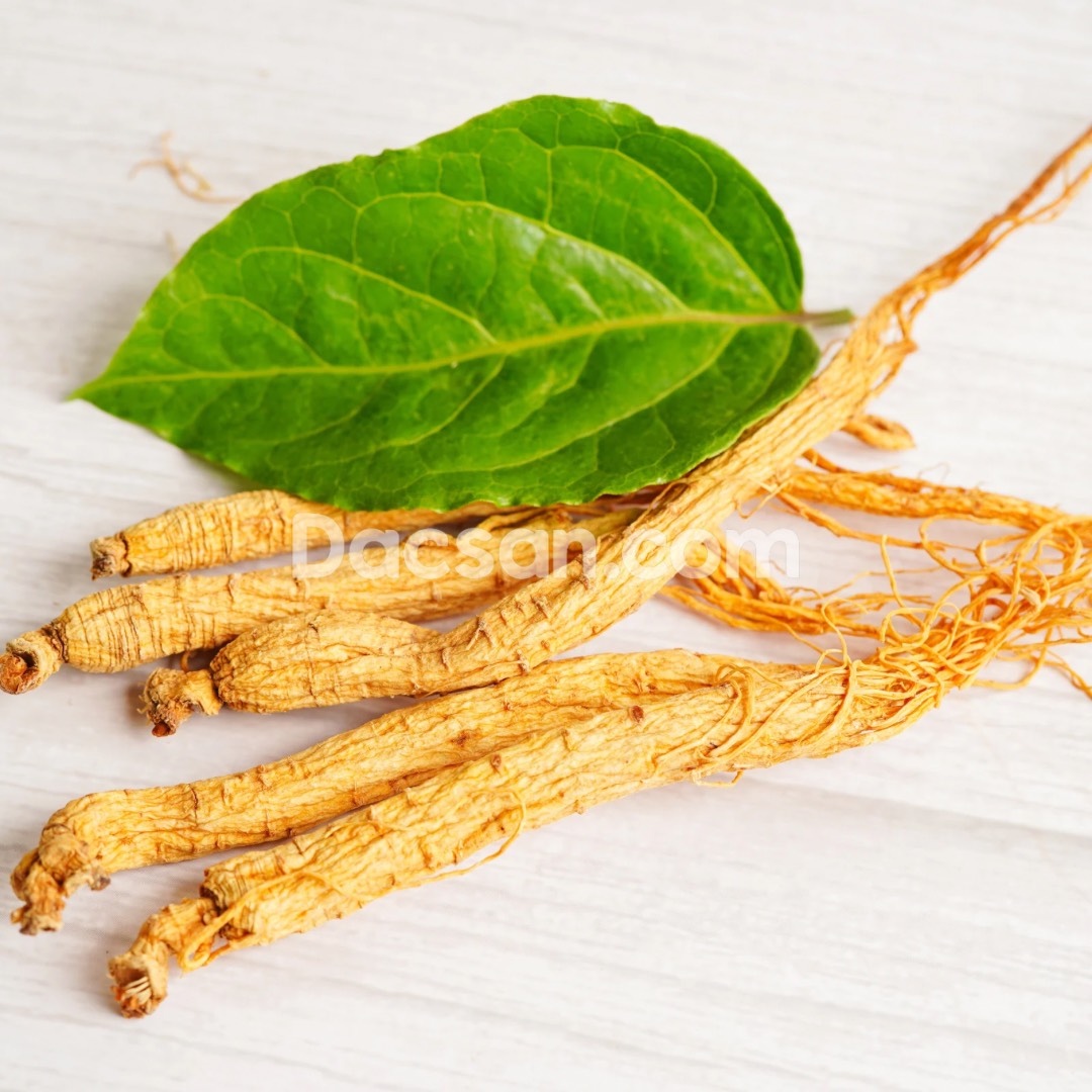 Sâm dây khô Kon Tum