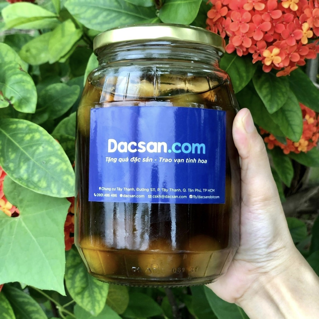 Sấu ngâm đường