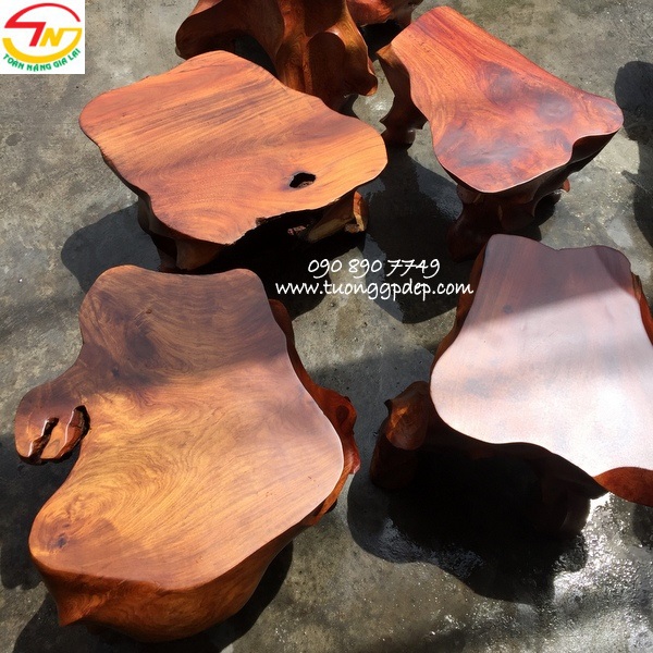 Đôn gốc cây kê tượng Đôn Gốc Cây Kê Tượng