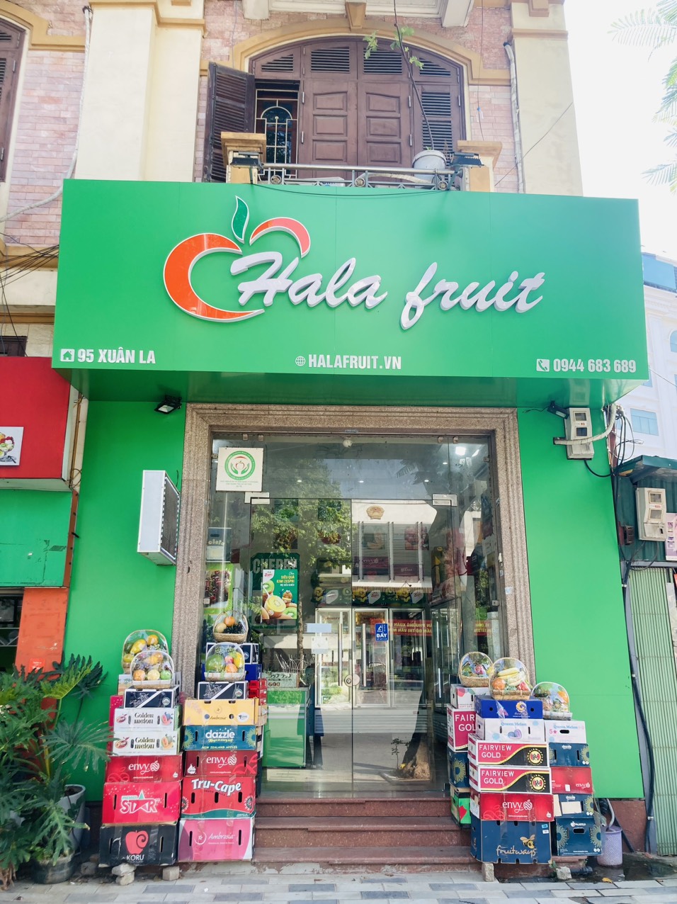 Hala fruit 95 Xuân La