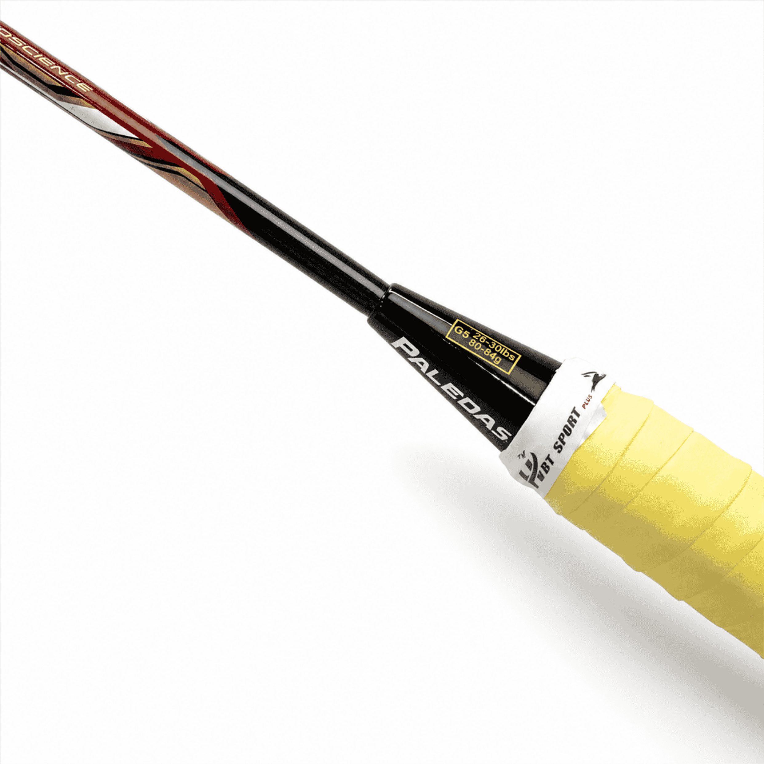 VỢT CẦU LÔNG PALEDAS BH8876