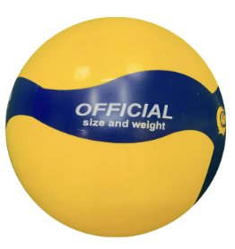 Bóng chuyền hơi Paledas