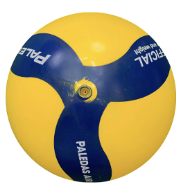 Bóng chuyền hơi Paledas