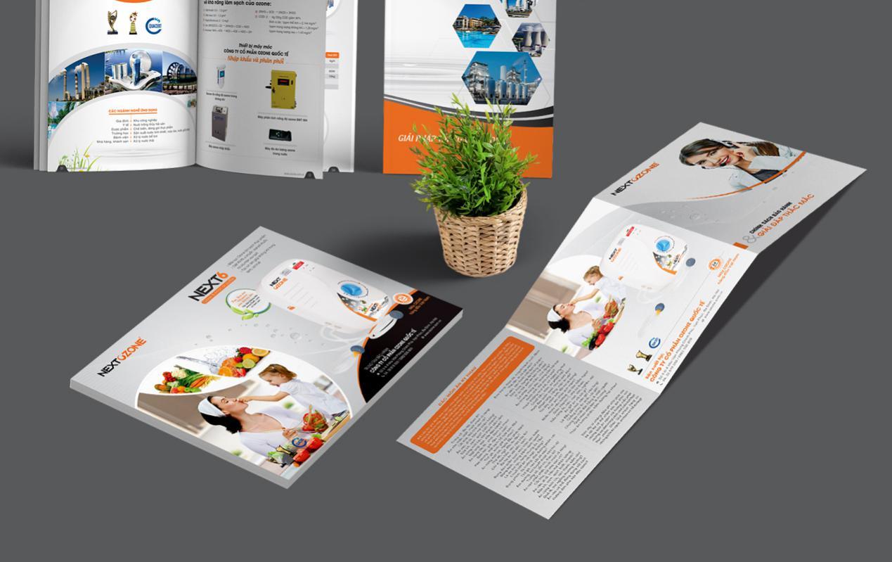 In brochure giá rẻ Hà Nội