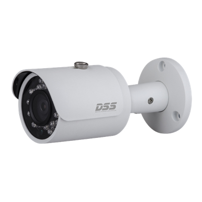 Camera Dahua ip DSS DS2130FIP