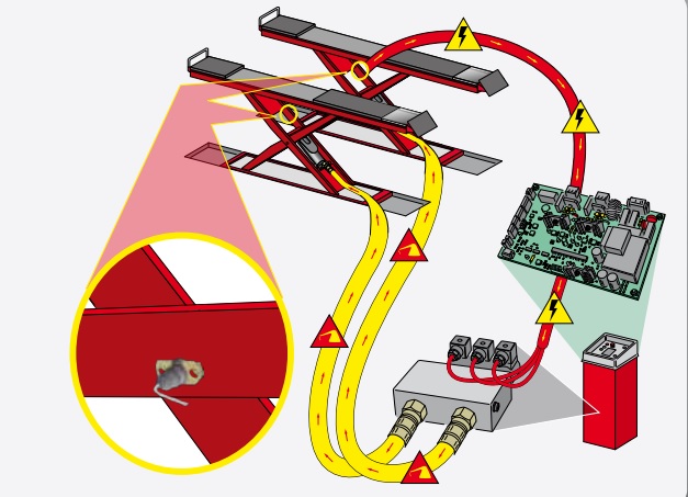 Đặc tính cầu nâng cắt kéo cho kiểm tra góc đặt bánh xe ERCO X4300CTLT Bảng điều khiển với các phím chức năng và màn hình LCD hiển thị thông tin về chiều cao nâng và cho phép cài đặt chiều cao nâng mong muốn. Do yêu cầu độ chính xác rất cao của thiết bị kiểm tra góc đặt bánh xe 3D Corghi (chỉ cho phép sai số dưới 1mm của cầu nâng) nên cầu nâng này có hệ thống tự bù sai lêch điều khiển bằng điện thủy lực. Cho phép thực hiện đồng bộ các thủ tục kiểm tra bánh xe trên cầu nhờ vào cơ cầu khóa cơ khí điều chỉnh được và hệ thống điện tử kiểm soát vị trí khóa luôn đảm bảo vị trí khóa hai bên dầm cầu là như nhau. Hai bên dầm cầu luôn được giữ được trạng thái thăng bằng nhờ vào hệ thống điều khiển thủy lực vòng kín. Hệ thống điều khiển thủy lực sẽ đảm bảo cho chuyển động của cầu theo phương thẳng đứng một cách êm ái và không có sự dao động Đĩa lái và bàn trượt điều chỉnh được (Đã được điều chỉnh sẵn ở nhà máy) nhằm đảm bảo độ phẳng của hai bên dầm cầu. Kích thước Cầu nâng cắt kéo cho kiểm tra góc đặt bánh xe ERCO X4300CTLT Kích thước Cầu nâng cắt kéo cho kiểm tra góc đặt bánh xe ERCO X4300CTLT Thông số cầu nâng cắt kéo cho kiểm tra góc đặt bánh xe ERCO X4300CTLT Model: ERCO X4300CT LT Công suất nâng tối đa: 4300 kg Có 2 bàn nâng bụng chiều dài cho phép điều chỉnh từ 1420 đến 2100mm rất linh hoạt Thời gian nâng/hạ: 95” Chiều dài tổng thể: 4842 mm Phù hợp cho kiểm tra góc đặt bánh xe các loại xe nhỏ đến các xe có chiều dài cơ sở lên đến 3500mm. Chiều rộng dầm cầu: 630 mm Chiều cao tổng thể: 2090 mm Áp suất khí nén: 4-10 bar Công suất mô tơ: 3kW Điện áp nguồn: 400V/3PH/50HZ (đã bao gồm kích bàn nâng bụng)