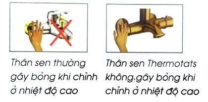 sen cây tắm nóng lạnh