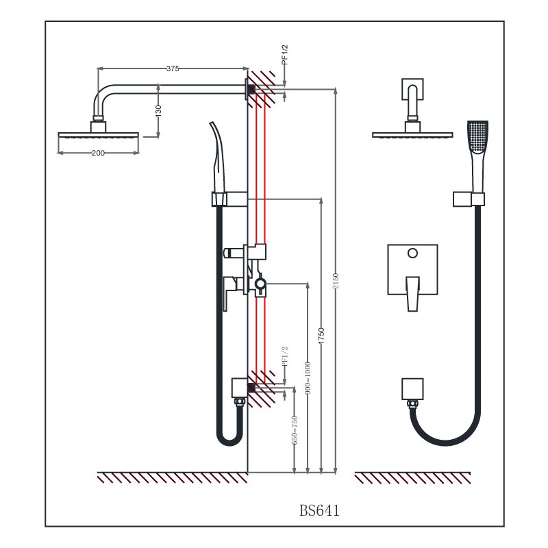 Sen âm tường Caesar BS641