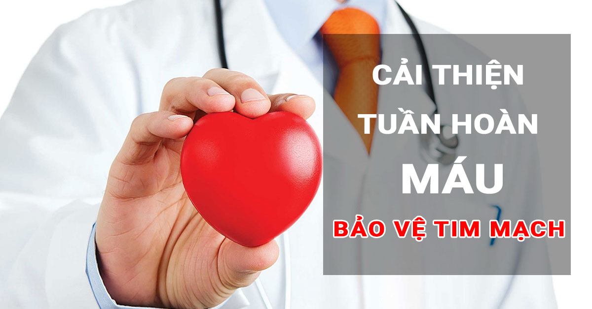 Cải thiện tuần hoàn máu