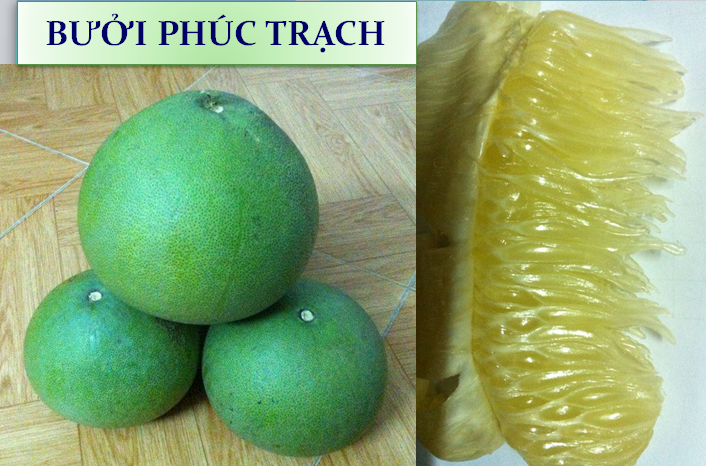 Kỹ thuật trồng và chăm sóc bưởi Phúc Trạch