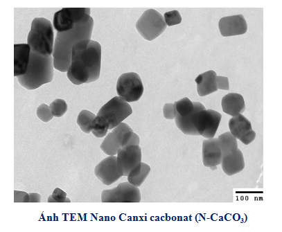 Nano canxi cacbonat và vai trò thiết yếu của canxi đối với cây trồng