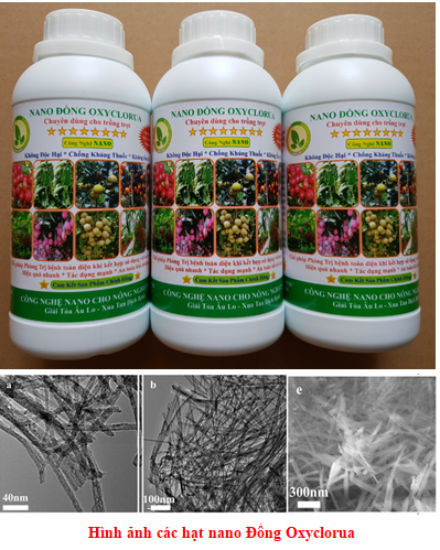 Chế phẩm nano đồng oxyclorua chuyên dùng đặc trị bệnh trên cây trồng(bệnh đốm lá, đốm trắng, lở cổ rễ, gỉ sắt, mắt cua, ghẻ sẹo)