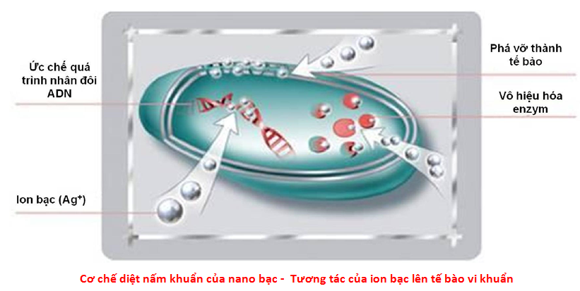 Quy trình sử dụng chế phẩm nano bạc titan chuyên dùng khử trùng máy móc, thiết bị công nghiệp nhà xưởng