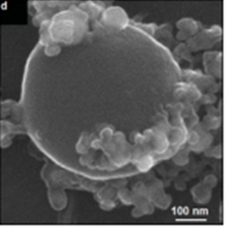 Nano đồng và ứng dụng của nano đồng trong nông nghiệp