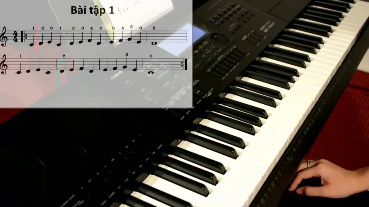 Học đàn organ và những kinh nghiệm cho người mới bắt đầu