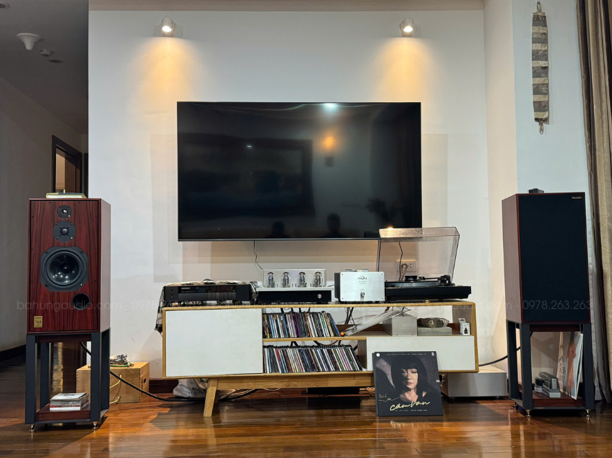 Loa Harbeth SHL5 Plus vào vị trí nhà anh khách