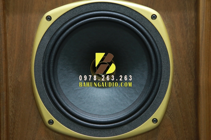 Gợi ý bạn cách xác định công suất loa