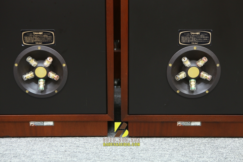 Những điều người bán loa tannoy ít khi nói cho bạn