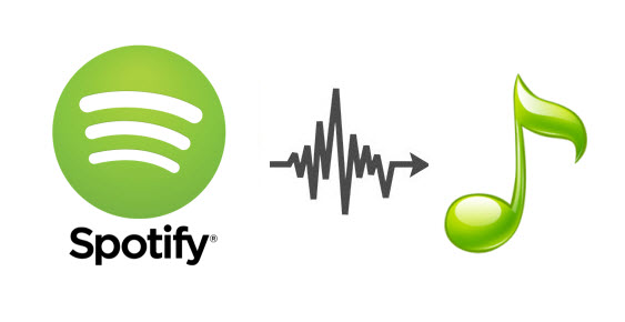 Spotify là gì mà khiến người dùng quan tâm nhiều đến thế?
