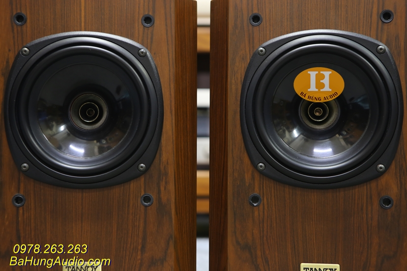 loa Tannoy d100 