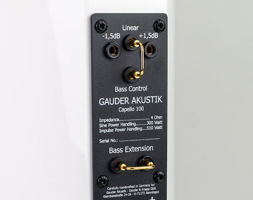Loa Gauder Akustik Floorstanding Capello 100 cung cấp một dải tần số rộng