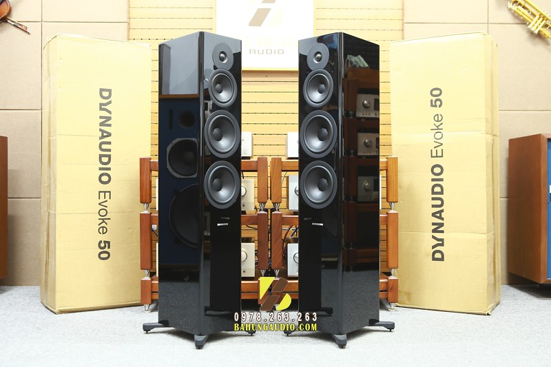 Loa Dynaudio Evoke 50 được nhiều người yêu thích