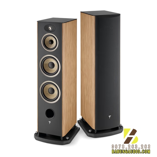 Loa Focal Aria Evo X N°4