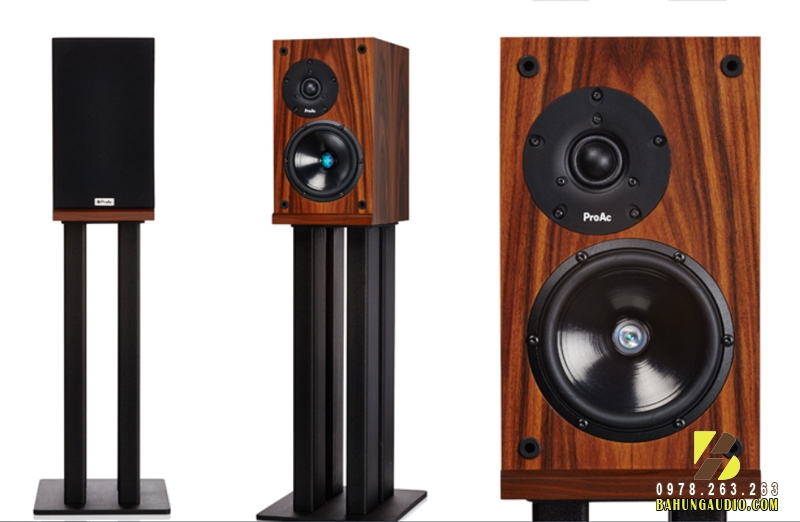 Loa ProAc Response DB1