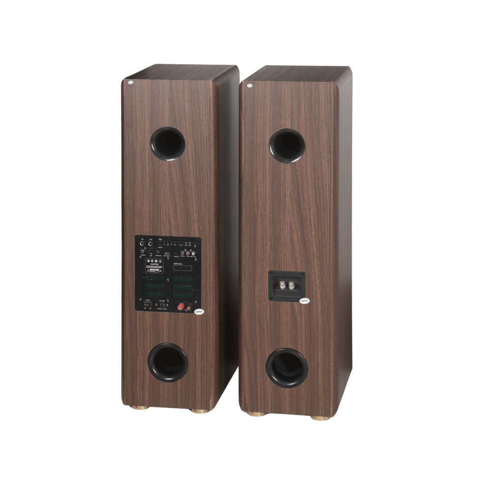 Loa Karaoke Kadma BS66