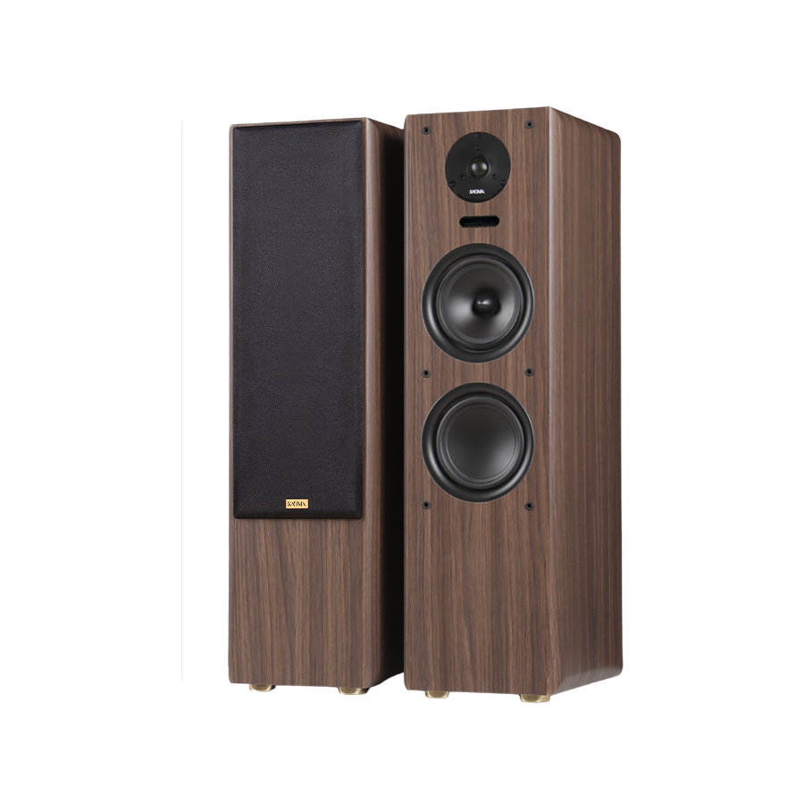 Loa Karaoke Kadma BS66