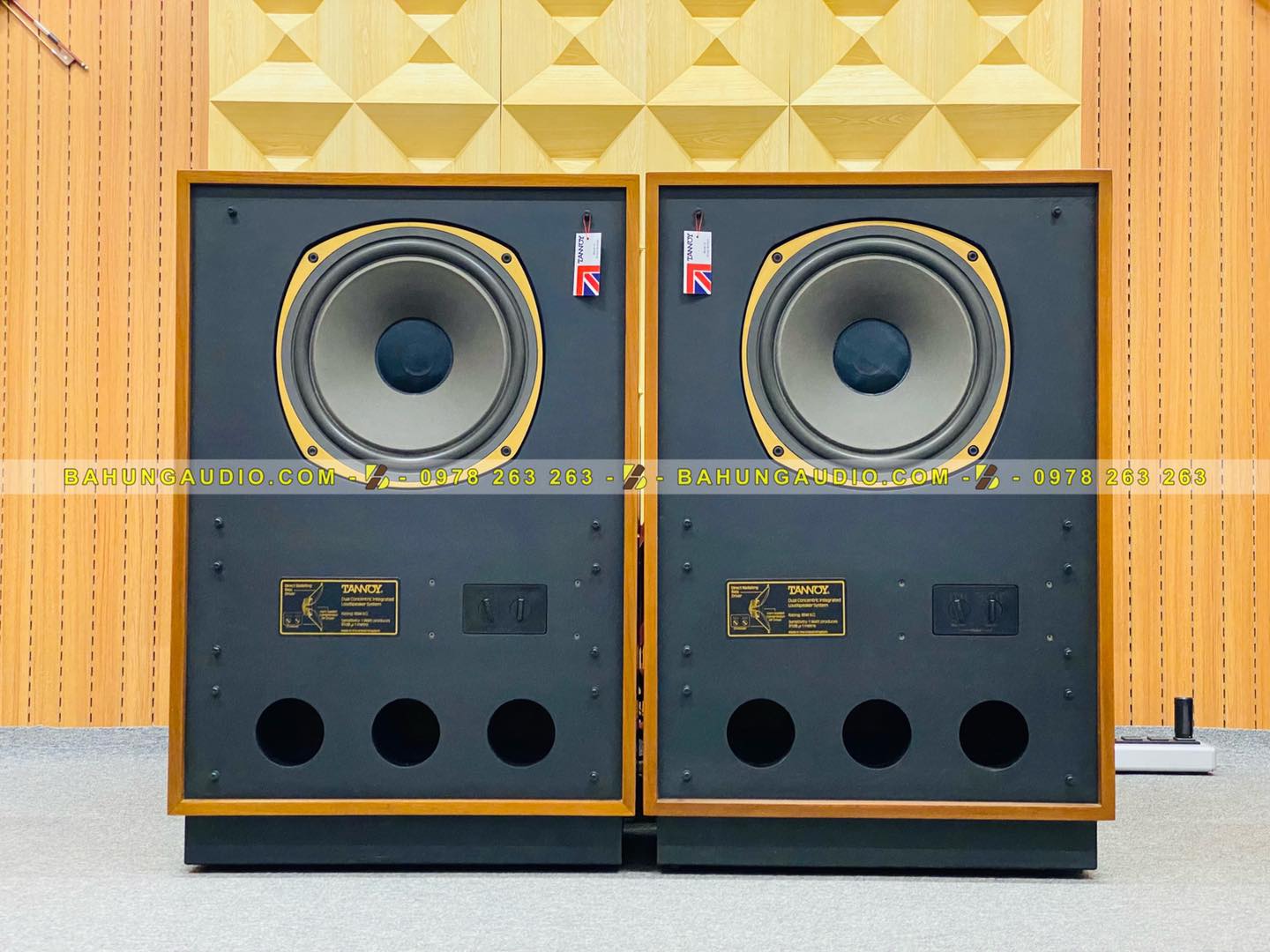Loa Tannoy Arden Mkii Đẹp Xuất Sắc