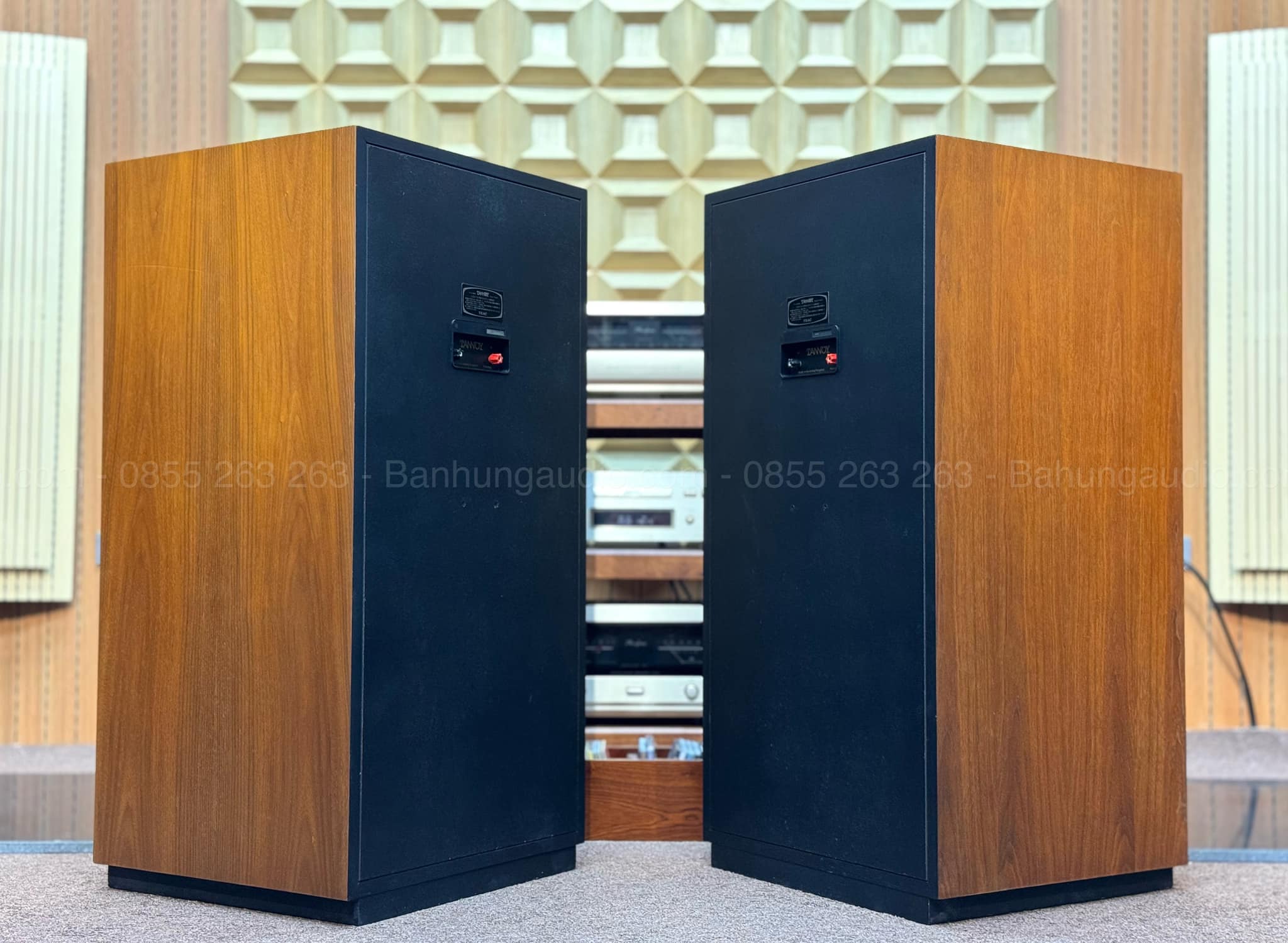 Loa Tannoy Arundel Đẹp xuất sắc