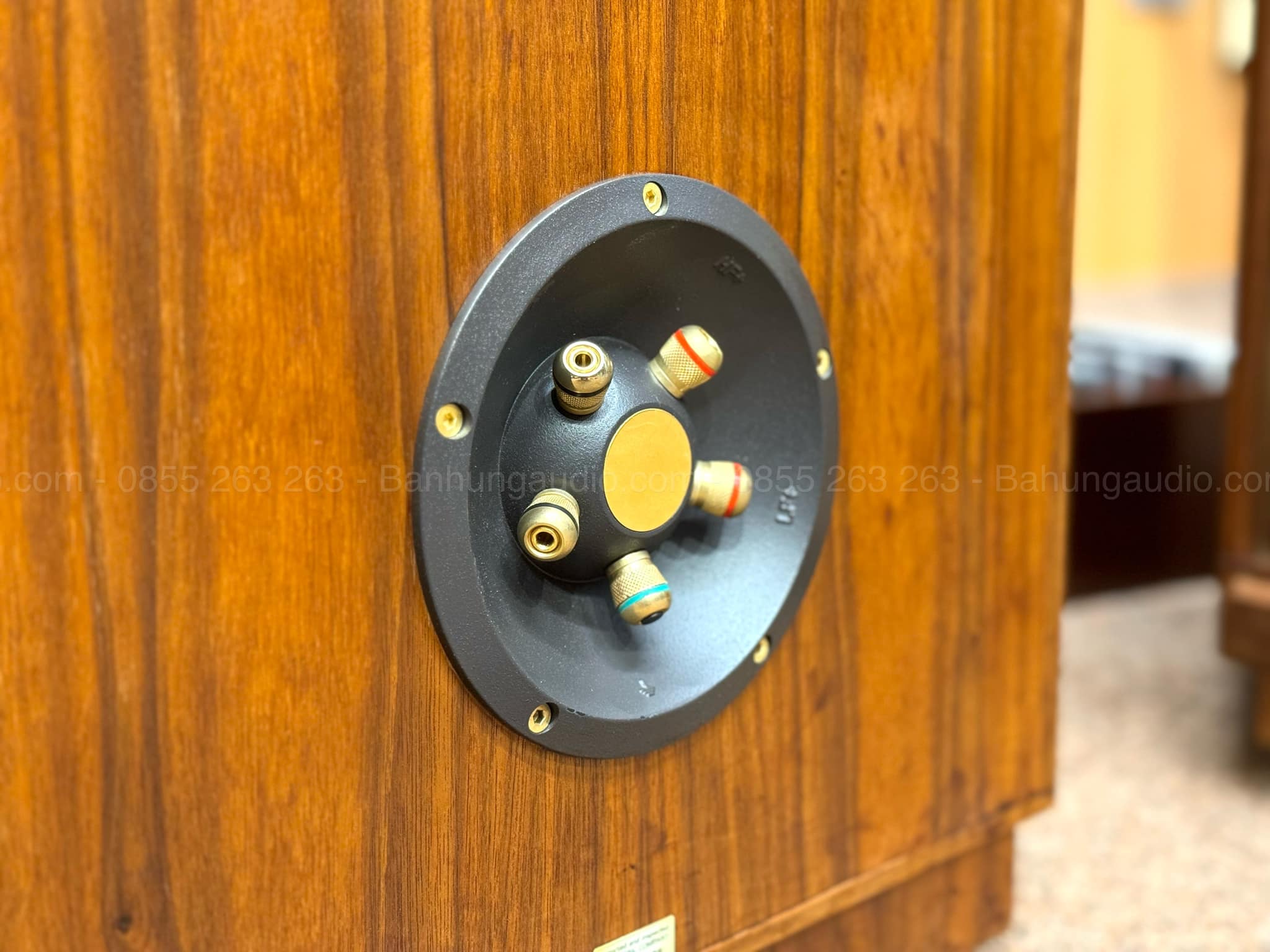 Loa Tannoy Stirling SE ( Bản đặc biệt )