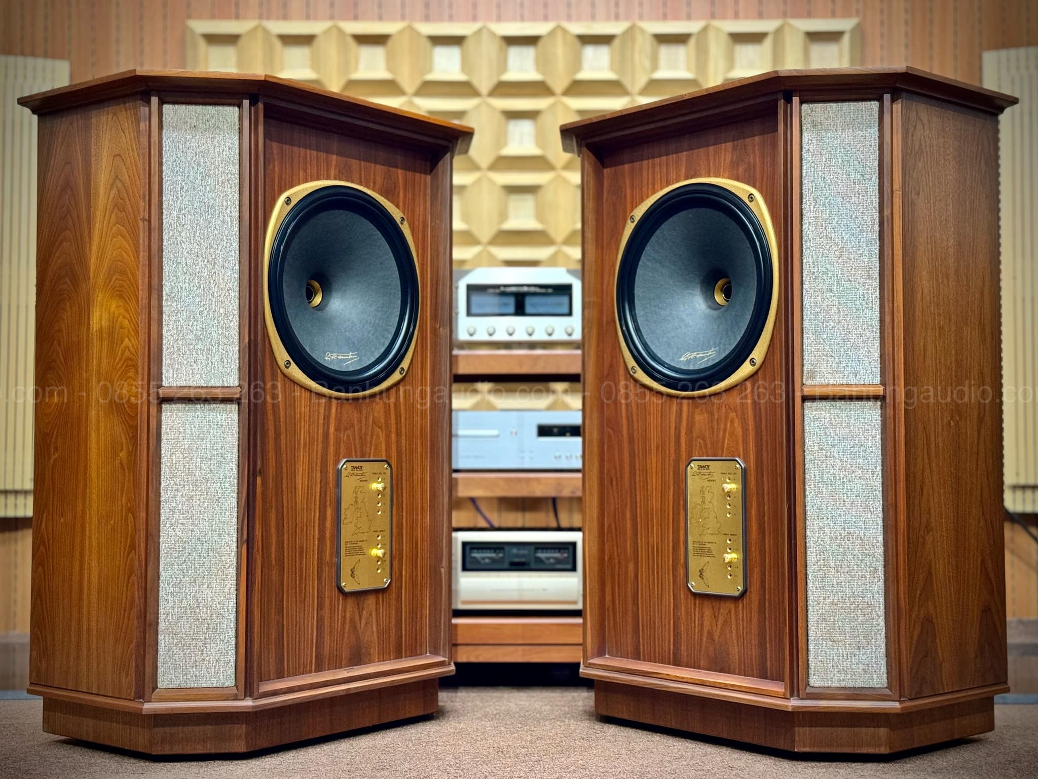 Loa Tannoy Memory TWW Đẹp Xuất Sắc