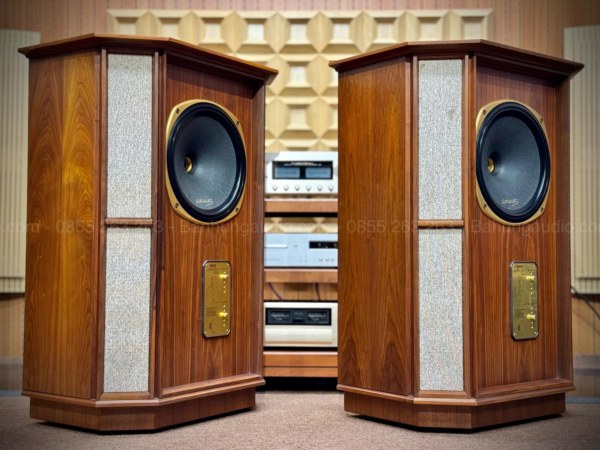 Loa Tannoy Memory TWW Đẹp Xuất Sắc