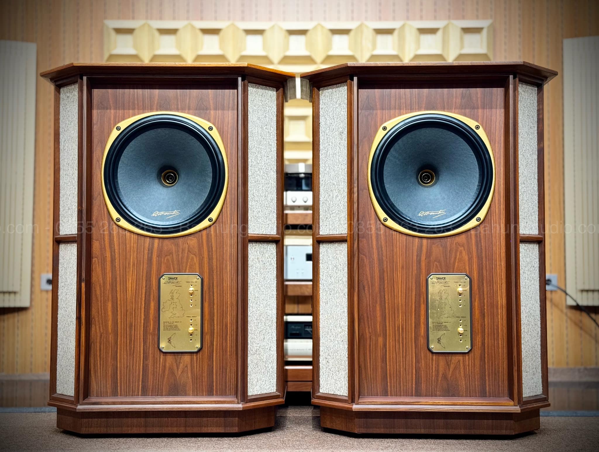 Loa Tannoy Memory TWW Đẹp Xuất Sắc