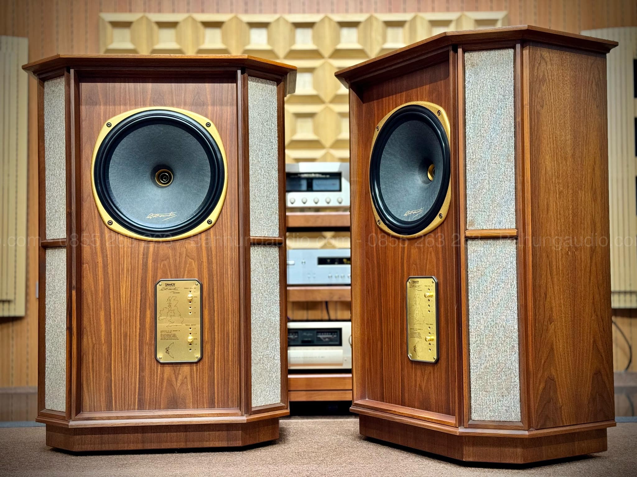 Loa Tannoy Memory TWW Đẹp Xuất Sắc