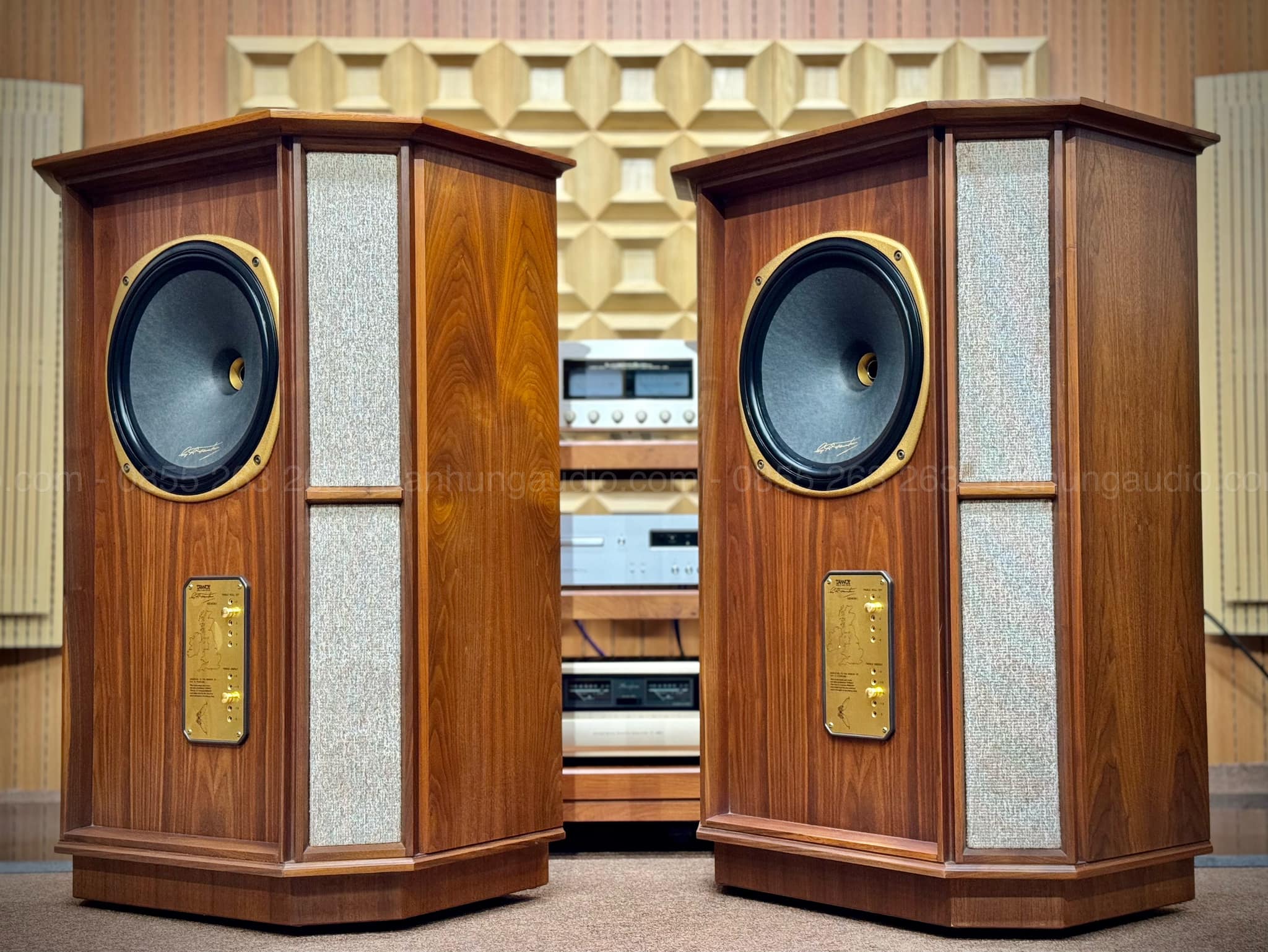 Loa Tannoy Memory TWW Đẹp Xuất Sắc