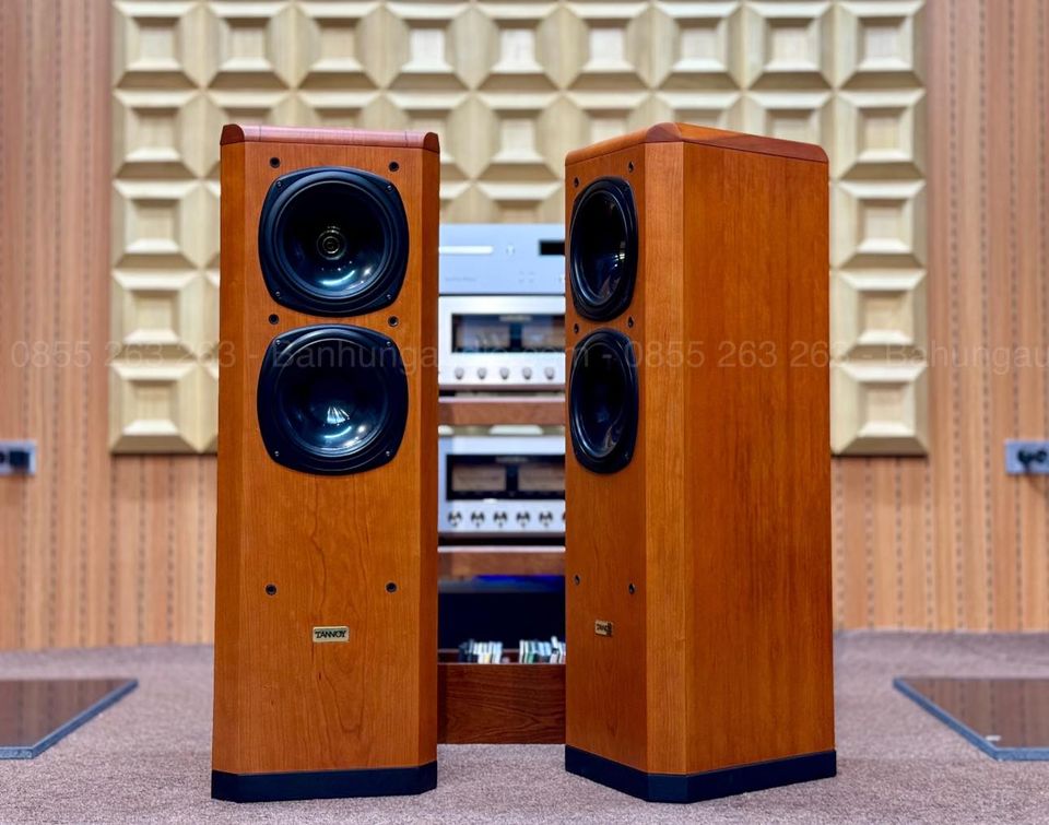 Loa Tannoy D500 Gold đẹp xuất sắc
