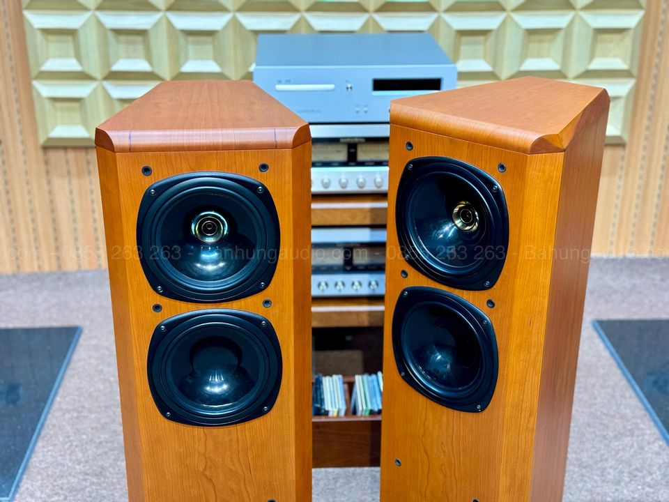 Loa Tannoy D500 Gold đẹp xuất sắc