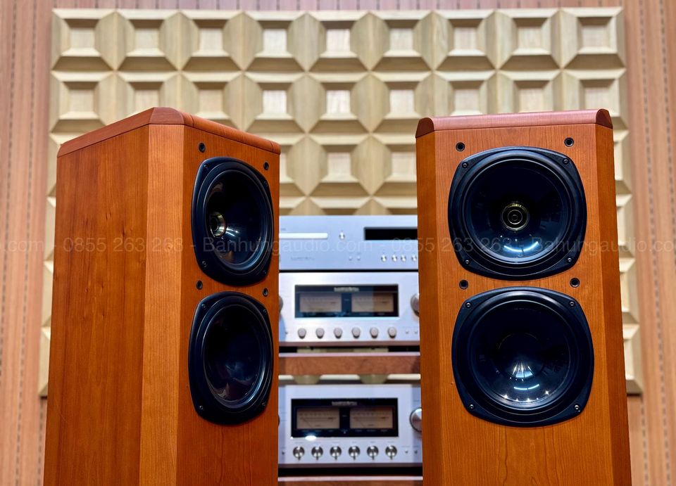 Loa Tannoy D500 Gold đẹp xuất sắc