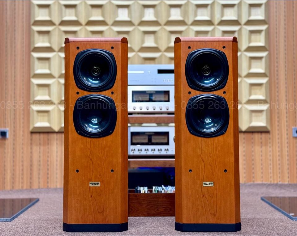Loa Tannoy D500 Gold đẹp xuất sắc