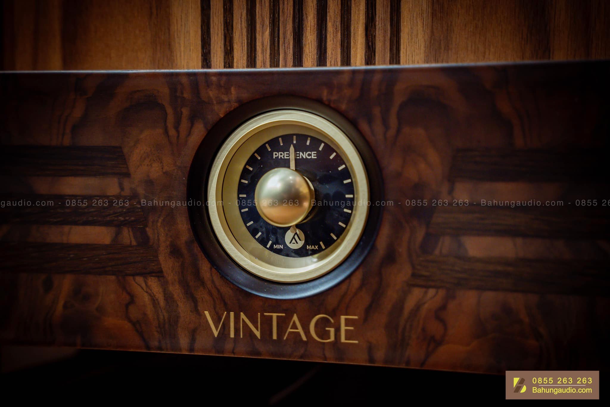 Loa Fyne Audio Vintage 10 Đẹp Xuất Sắc