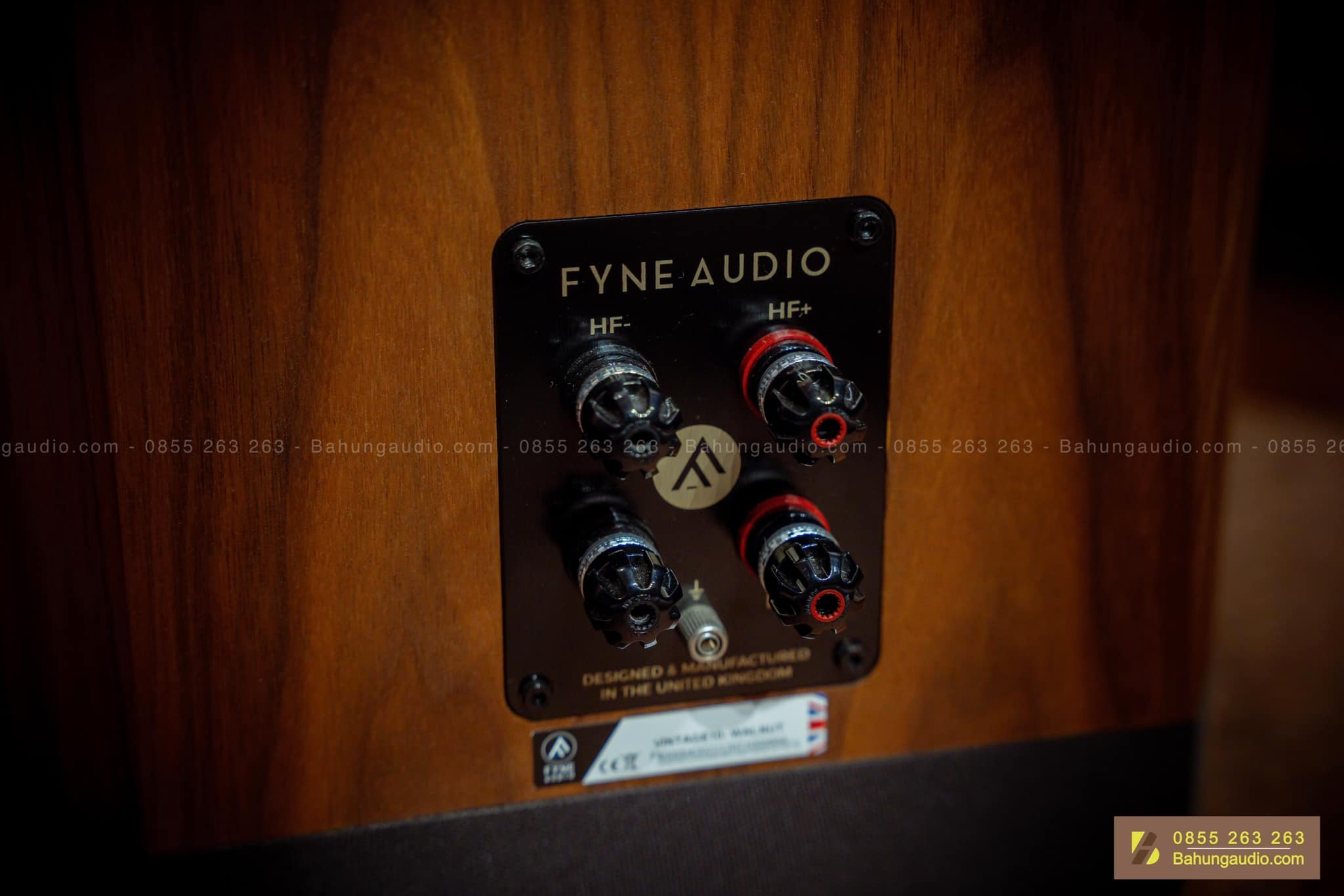 Loa Fyne Audio Vintage 10 Đẹp Xuất Sắc