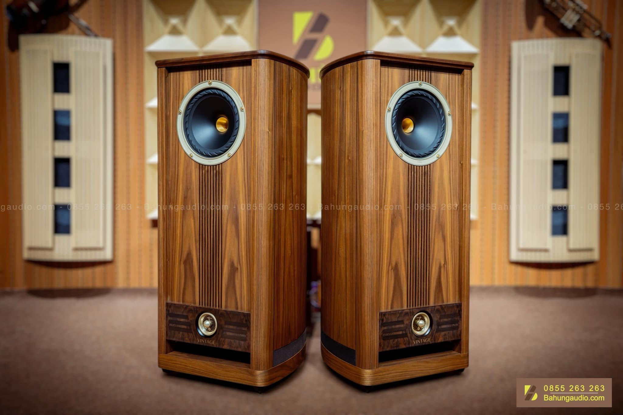 Loa Fyne Audio Vintage 10 Đẹp Xuất Sắc