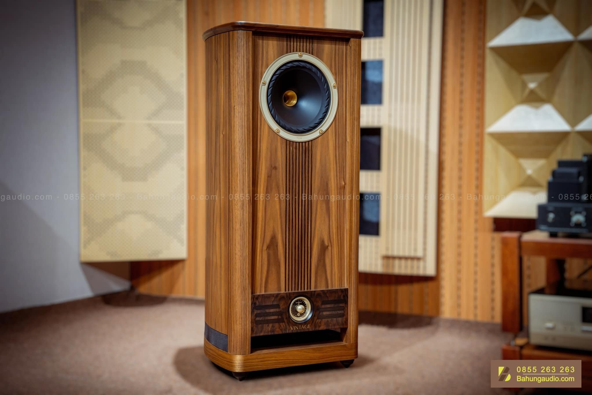 Loa Fyne Audio Vintage 10 Đẹp Xuất Sắc