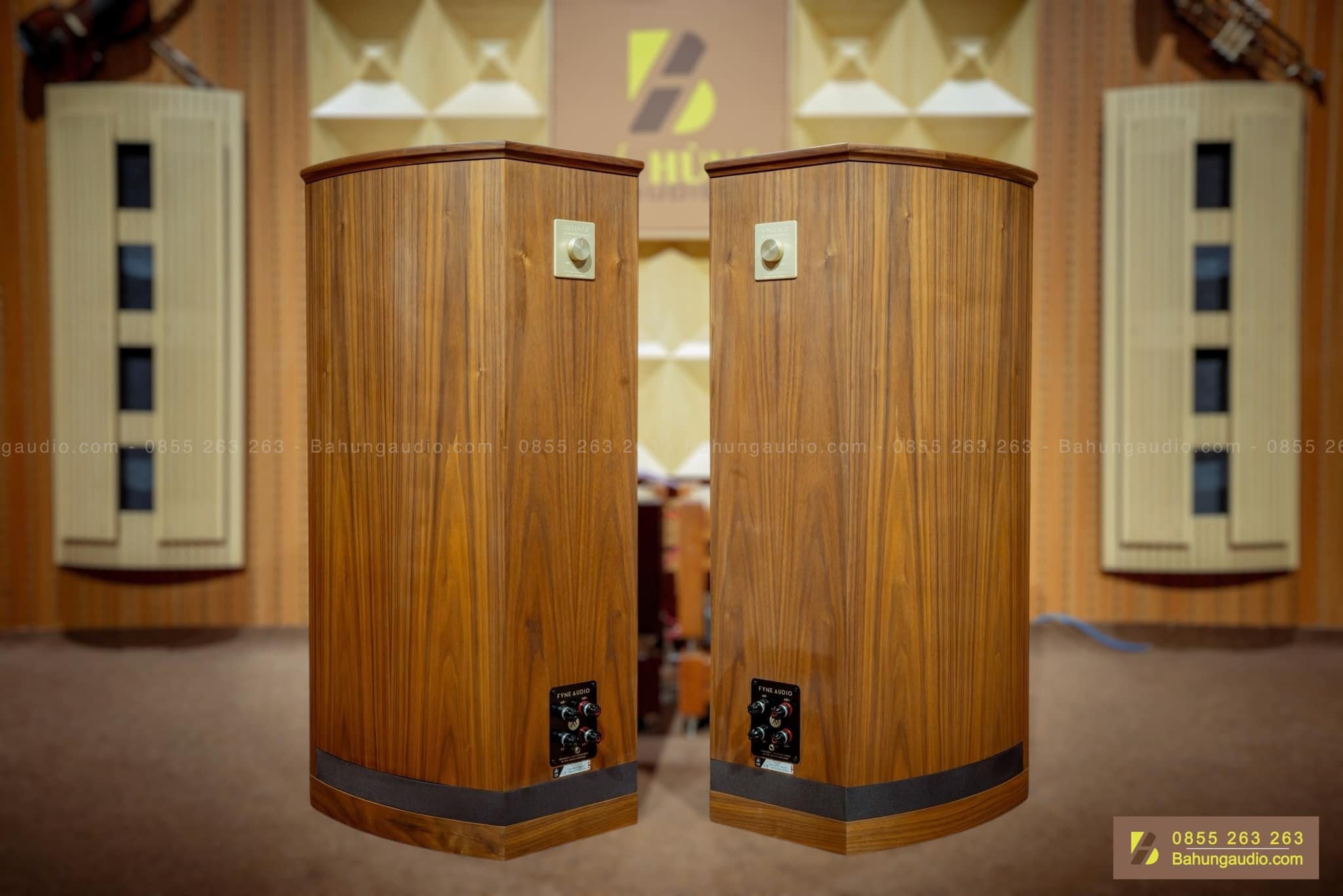 Loa Fyne Audio Vintage 10 Đẹp Xuất Sắc